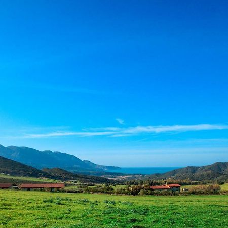 Agriturismo Il Ginepro 플루미니마조레 외부 사진