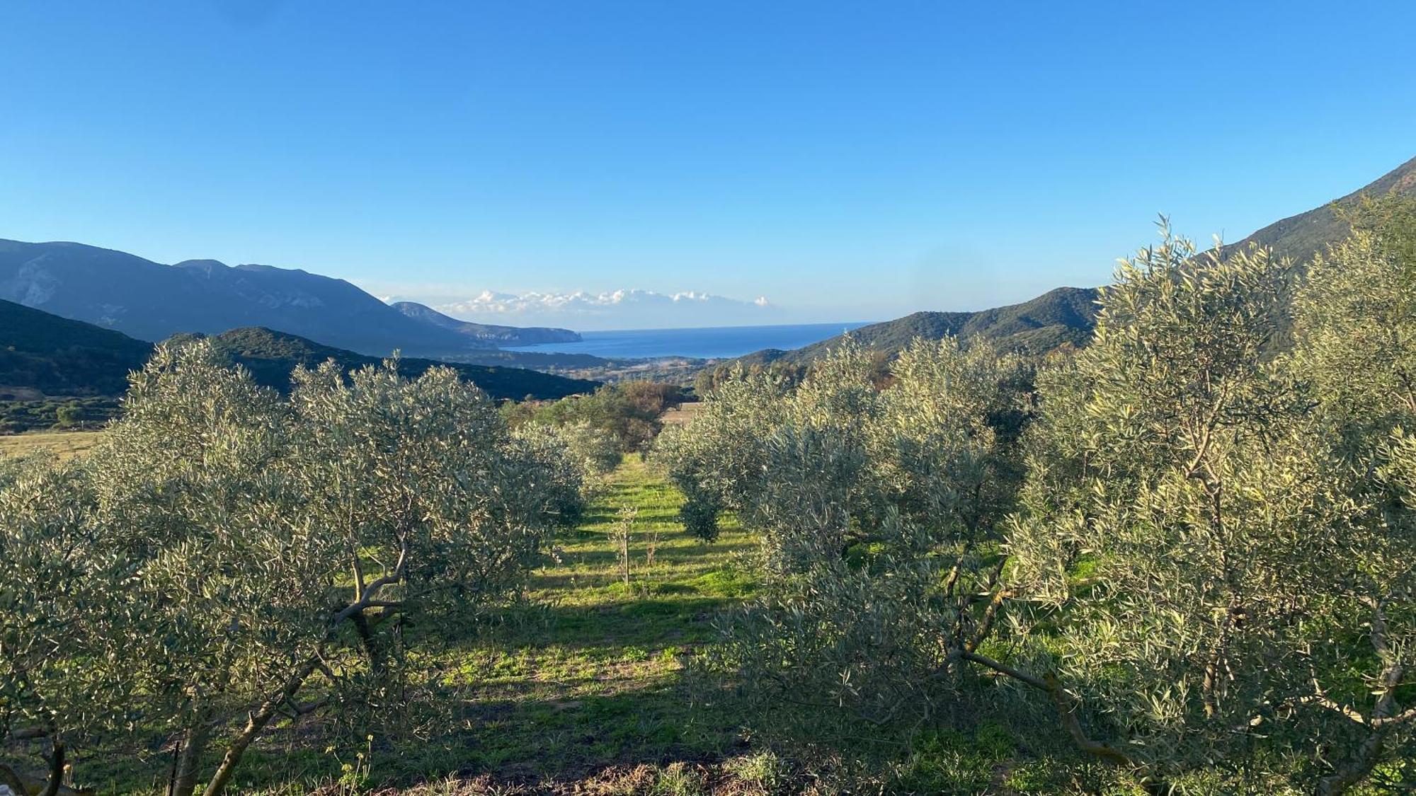 Agriturismo Il Ginepro 플루미니마조레 외부 사진