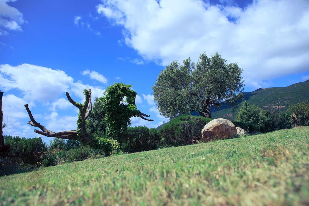 Agriturismo Il Ginepro 플루미니마조레 외부 사진