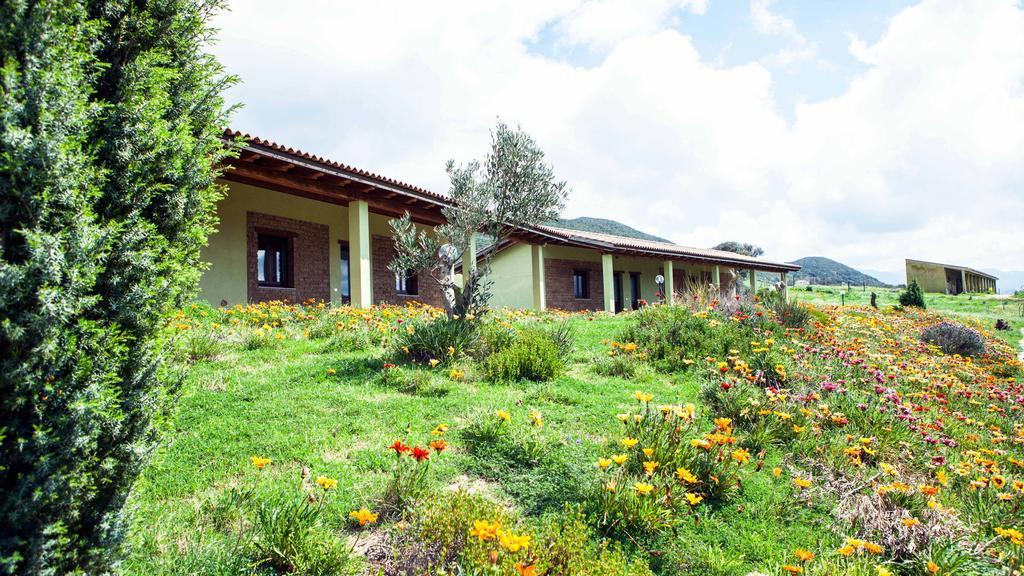 Agriturismo Il Ginepro 플루미니마조레 객실 사진