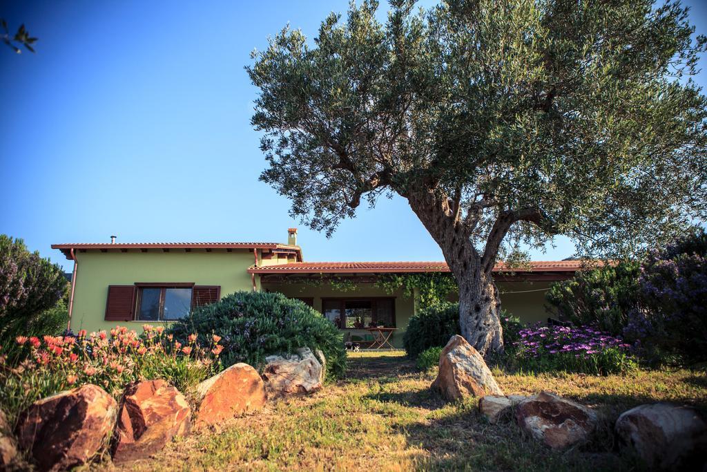 Agriturismo Il Ginepro 플루미니마조레 외부 사진