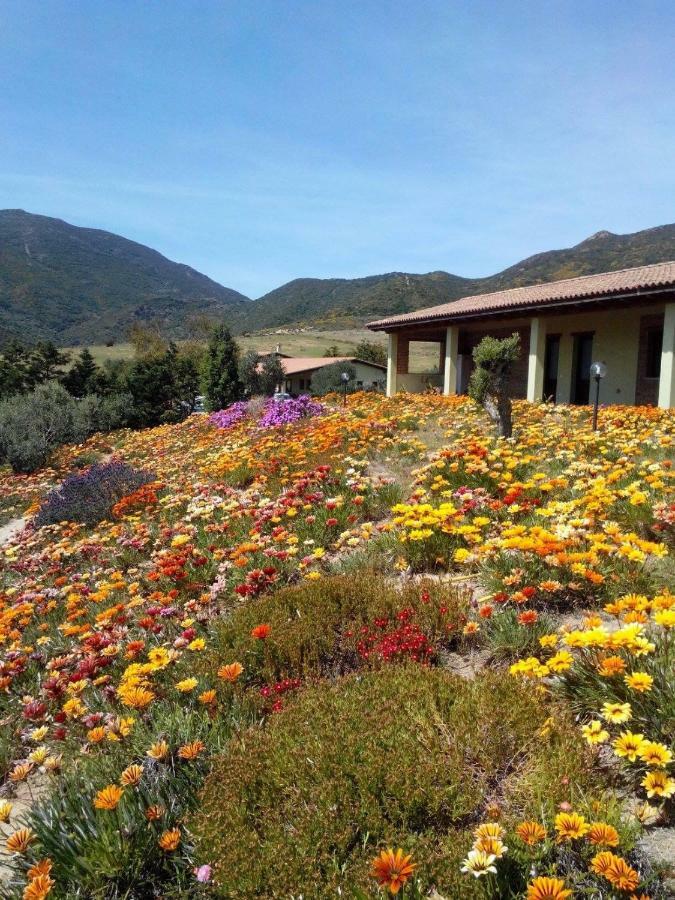 Agriturismo Il Ginepro 플루미니마조레 외부 사진