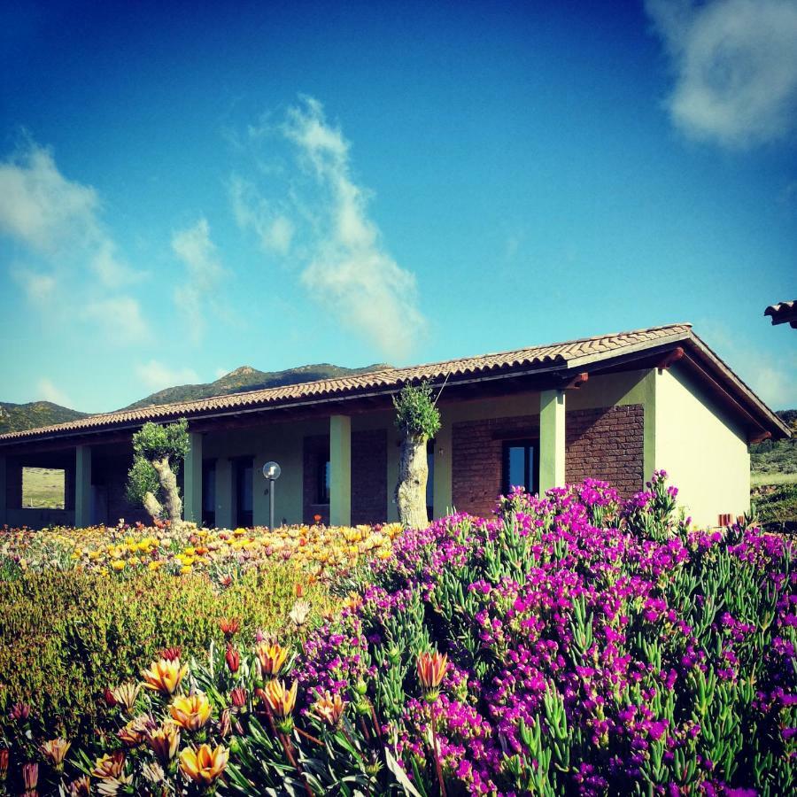 Agriturismo Il Ginepro 플루미니마조레 외부 사진