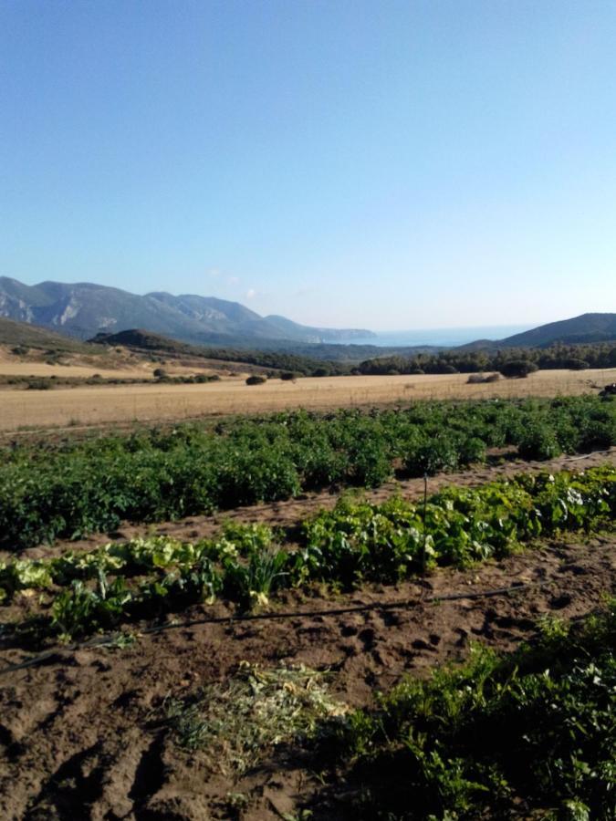 Agriturismo Il Ginepro 플루미니마조레 외부 사진
